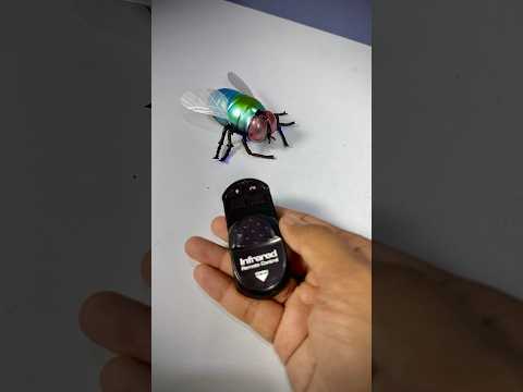 Wildlife (14) — Remote Control Simulation Housefly