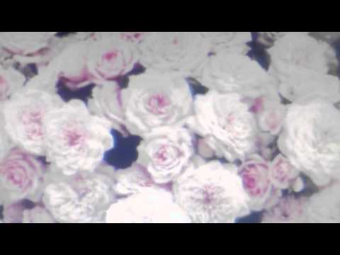 Crystal Castles — Crystal Castles "AFFECTION" Official