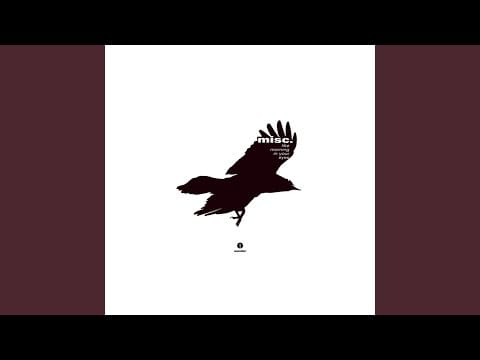 Misc. — Shadow Hunting