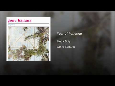 Mega Bog — Year of Patience