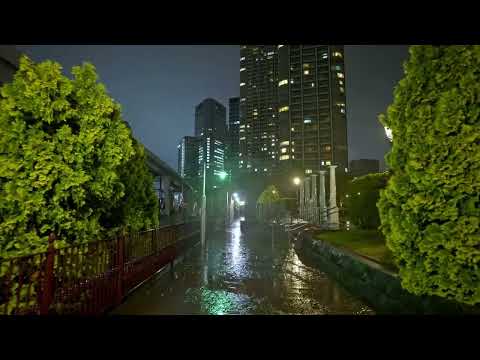 Sangam — Sangam - You Forget This vinyl rip visualizer