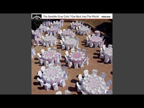 The Sensible Gray Cells — Another World