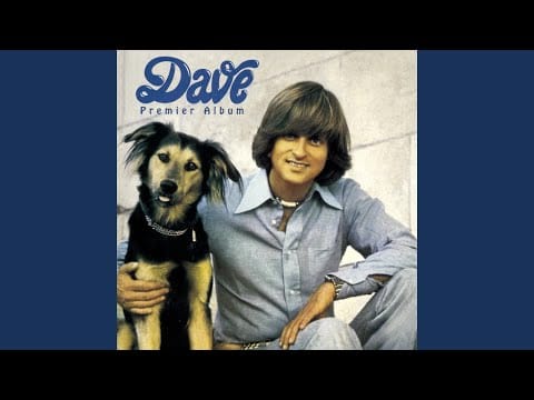 Dave (13) — Trop beau (Sugar Baby Love)
