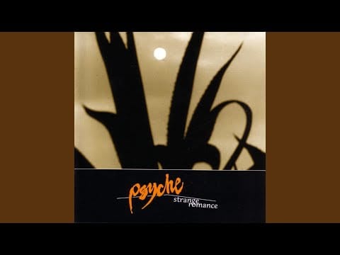 Psyche (2) — Insecurity