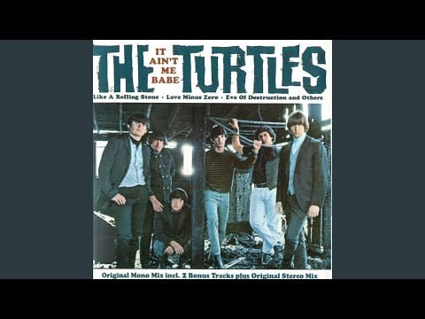 The Turtles — Let The Cold Winds Blow (Mono)