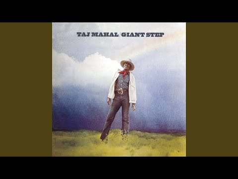 Taj Mahal — Blind Boy Rag