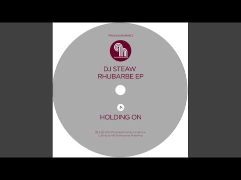 DJ Steaw — Holding On
