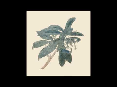 I Wrote Haikus About Cannibalism In Your Yearbook — IWROTEHAIKUSABOUTCANNIBALISMINYOURYEARBOOK - Discography (ZBR195)