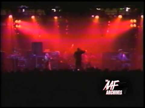 The Hazies — Hazies "Trip Free Life"