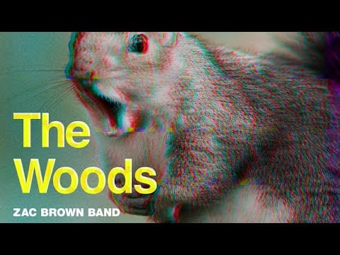 Zac Brown Band
 — Zac Brown Band - The Woods (Official Music Video) | The Owl