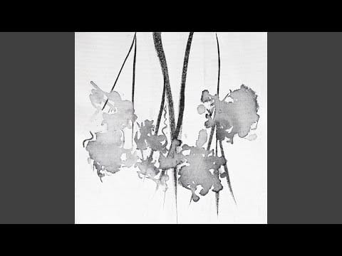 Cory James (4) — Extension of Life (Original Mix)