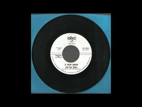 The Luv Birds — The LUV BIRDS - A New Breed (1966)