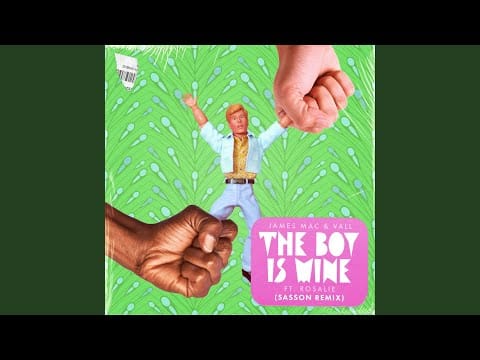James Mac (3) — The Boy Is Mine (feat. Rosalie) (Sasson Extended Remix)