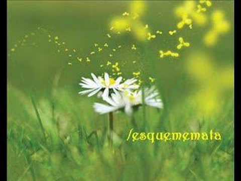 Johnny Crockett — Johnny Crocket- Theme from Shout