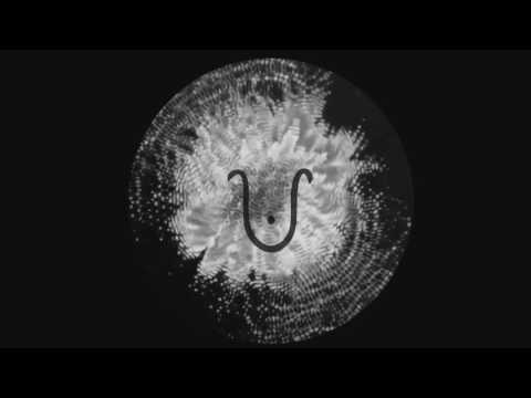 Sex Of Insects — Sex Of Insects - Song Of Trees (Sid Le Rock Remix)