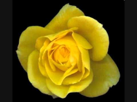 Mark Ronson — Amy Winehouse - Valerie (Unknown dnb remix).wmv