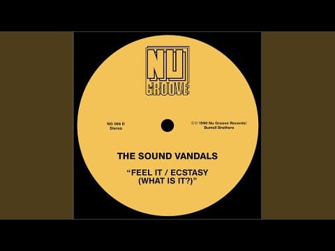 The Sound Vandals — Feel It (Concept Mix)