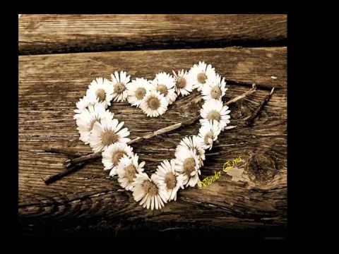 Vader Abraham — Vrede   Vader Abraham & Donna Lynton  Vlinder Erna
