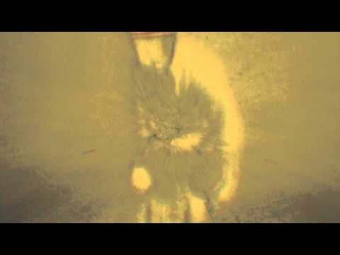 Netherlands — NETHERLANDS - DOTS (official music video)