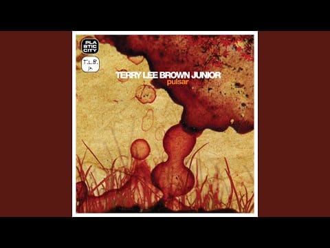 Terry Lee Brown Jr. — Night In Sutivan