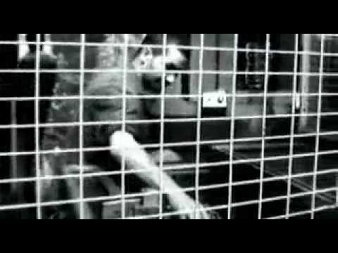 La Canaille — La Canaille - L'Usine