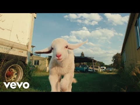 Mallrat — Horses