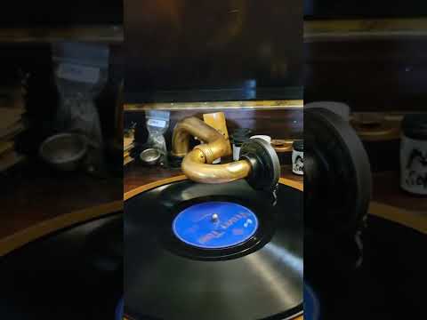 The Bar Harbor Society Orchestra — Pagan Love Song - (Irving Kaufman) Bar Harbor Society Orch (C R) Velvet Tone #1895 1929
