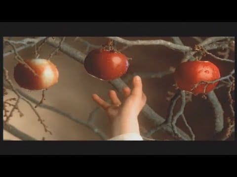 Runrig — Runrig - An Ubhal As Airde (Official Music Video)