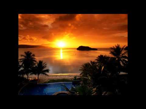 Sven Van Hees — Sven Van Hees - Islamorada Fishing Company