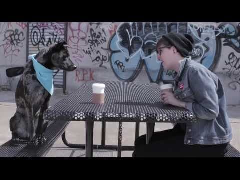Allison Weiss — Allison Weiss - "Making It Up" (Official Video)