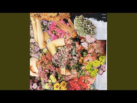 Diploid — No Current Present