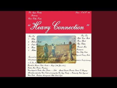 Ngozi Family — Born Black