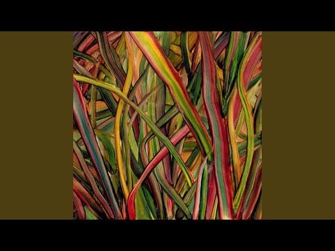 Gengahr — Blind Truth