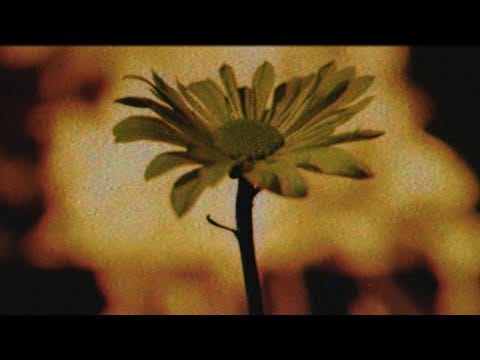 Arizona (12) — A R I Z O N A - Dark Skies [Official Visualizer]