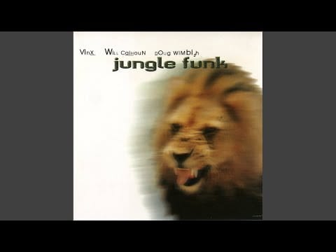 Jungle Funk — Headfake