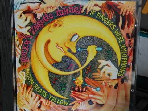 Gorky's Zygotic Mynci — Moon Beats Yellow - Gorky's Zygotic Mynci