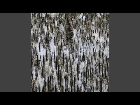 Anthéne — Repose, Pt. I