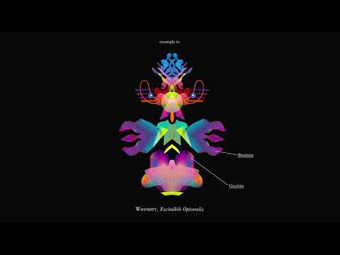 Opiuo — Opiuo & Vorso - Why Not