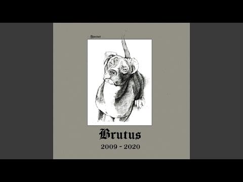 Specter — The Birth