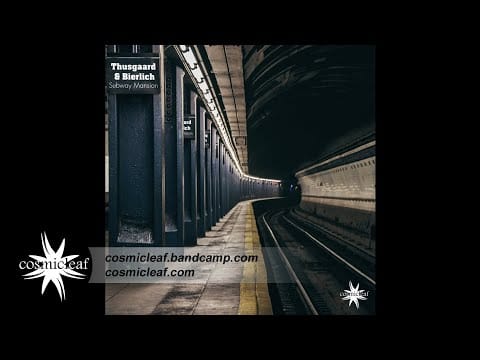 Thusgaard & Bierlich — Thusgaard & Bierlich - Subway Mansion - 04 Synergy