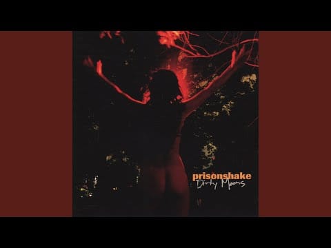 Prisonshake — The Cut-Out Bin