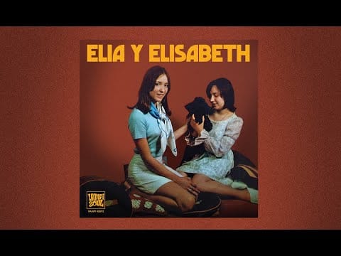Elia y Elizabeth — Elia y Elizabeth - Fue una lágrima / Cae la lluvia (Full Single)