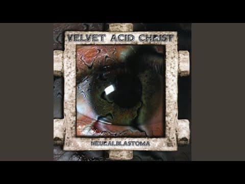 Velvet Acid Christ — Thought Criminal