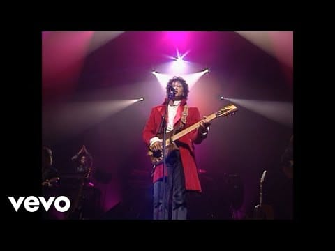 Laurent Voulzy — Laurent Voulzy - Rockollection (Voulzy Tour au Zénith de Paris 1993)