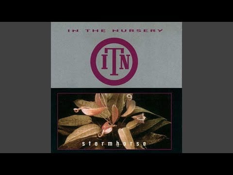 In The Nursery — Dolente