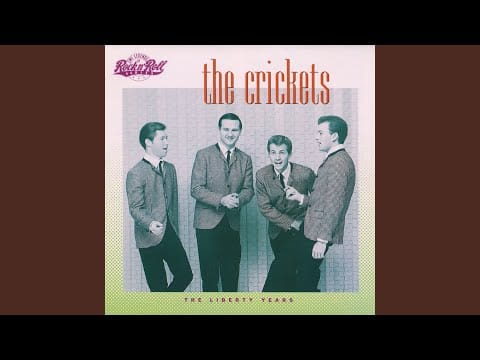 The Crickets (2) — Everybody's Got A Little Problem