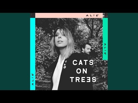 Cats On Trees — Alie