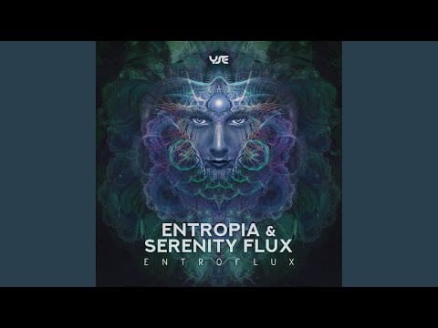 DJ Bim — Entroflux