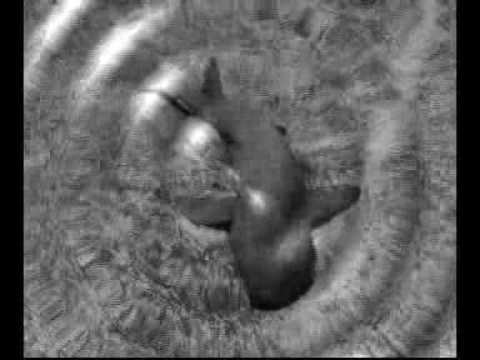 Eric Woolfson — ERIC WOOLFSON - I Can See Round Corners -   The Alan Parson Project That Never Was