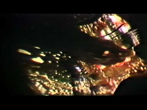 Simon Reynolds — CABARET VOLTAIRE - Sluggin' fer Jesus (1980)
